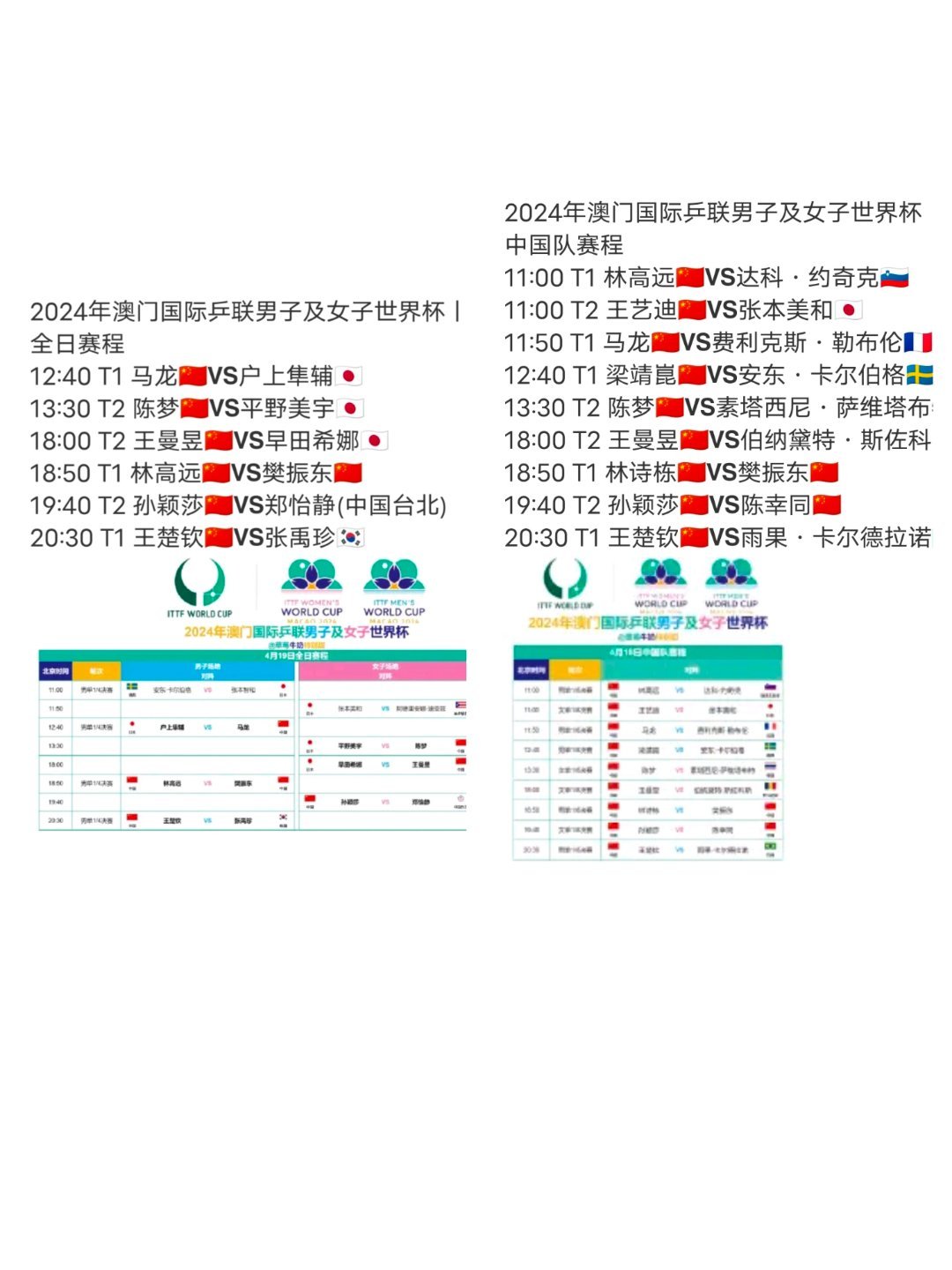 2024今晚澳门开特马开什么,精选资料解析大全