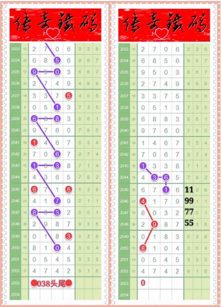 澳门一肖中100%期期准海南特区号,最佳精选解释落实