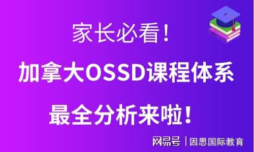 新福港鼎峰最新消息全面解读