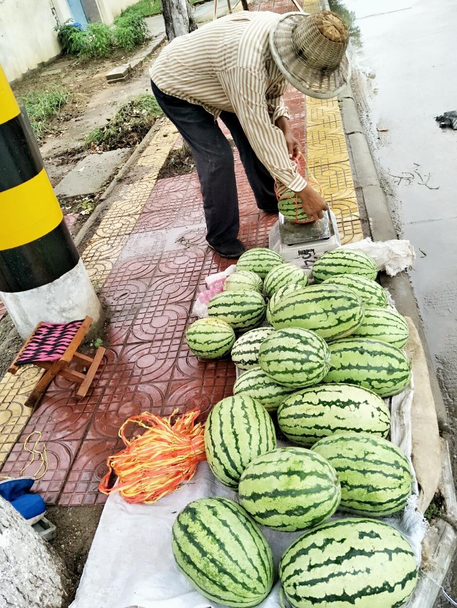 天生是优，最新一期中的独特魅力与启示