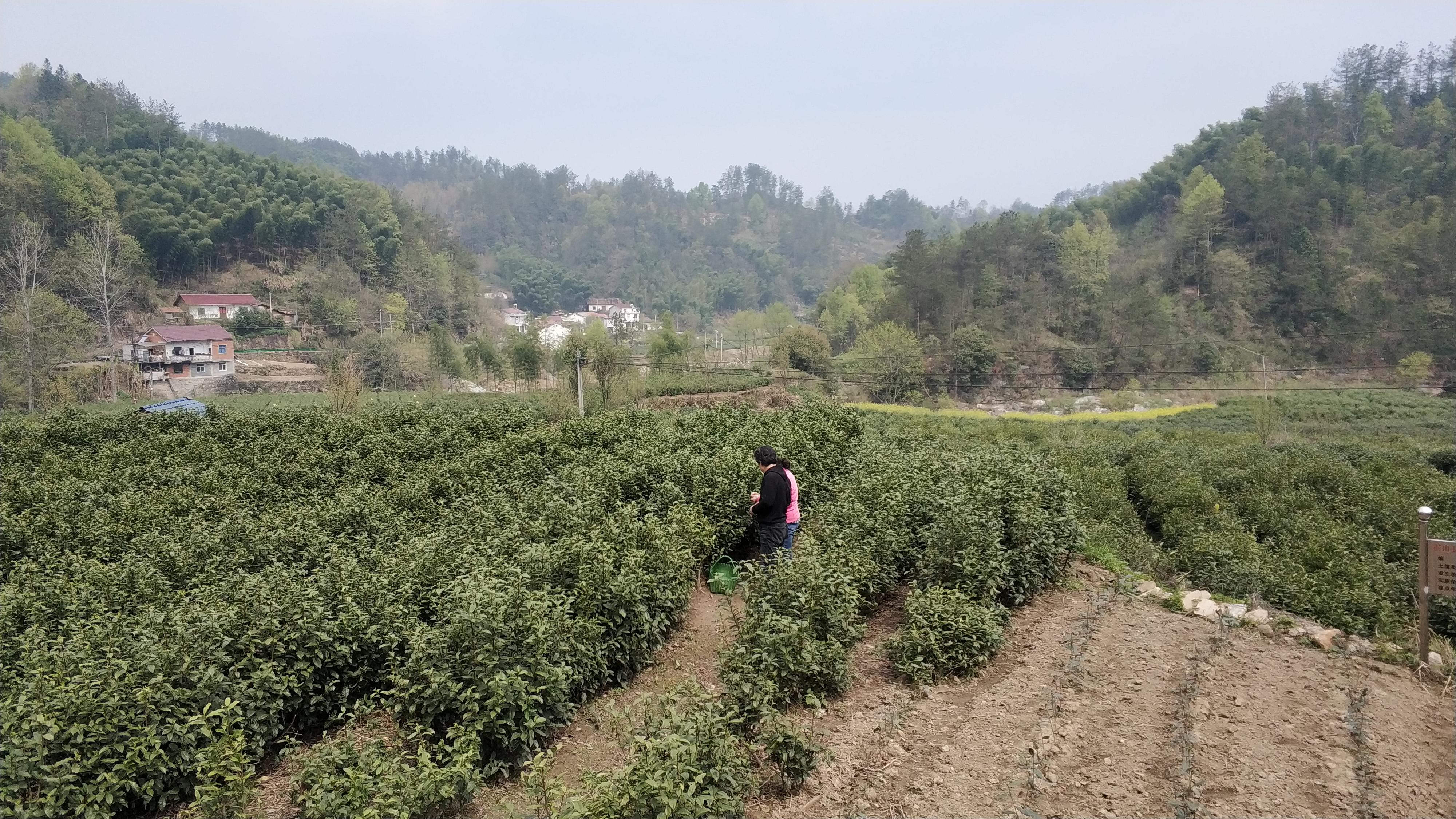 暑期兼职新选择，在58同城网寻找包吃住的女暑假工